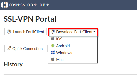 VPN portal